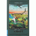 Duyên Phận Tarot